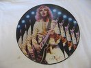 Peter Framton Framton Comes Alive Record LP A&M Metal VG+ Picture Disc W/ Card