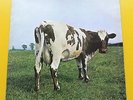 RARE ORGINAL PINK FLOYD ATOM HEART MOTHER No EMI Logo.1G MATRIX NO'S EX COND