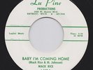 Northern Soul R&B / Mack Rice / Baby I'm Coming Home / Lu Pine 