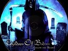 Children Of Bodom - Follow The Reaper (2009, Vinyl NEW)