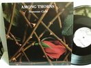 AMONG THORNS 