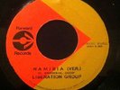 LIBERATION GROUP - NAMIBIA (STUDIO ONE) WICKED HORNS INSTRUMENTAL NM reggae dub