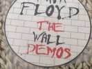 Pink Floyd The Wall Demos Picture Disc
