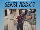 CLASSIC DIGI ROOTS Horace Ferguson Sensi Addict JA Ujama LP Listen  inc 'SLAVE'