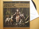 ZODIAC –  A HIDING PLACE - D -  NAPALM RECORDS -SIGNIERT
