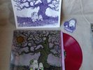 J Mascis Tied to a Star PINK VINYL “loser” Edition LP Record Poster Dinosaur Jr