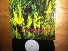 Dinosaur Jr - Get Me - 12