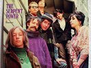 psych folk LP Vanguard (RE) THE SERPENT POWER The Serpent Power