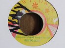 Rare - Rising Son - Everyone should have a home - Wildflower original JA label