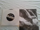 Champion – The Truth EP - Bridge Nine Records – B9B04 - Limited 500 Stück