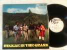 V/A - reggae in the grass - STUDIO 1