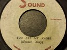Horace Andy You Are My Angel Killer Roots 7