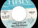 UNRELATED SEGMENTS - STORY OF MY LIFE - MICHIGAN GARAGE PUNK CRUSHER 45 - HEAR
