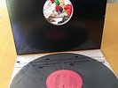 The Bird And The Bee- Interpreting The Masters Tribute to Hall & Oats Vinyl LP