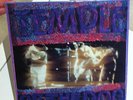 Temple of the Dog 