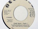 70s Soul 45   Fantastic Puzzles   Come Back - Part I   New Moon   mp3 WLP