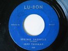 HEAR MP3 RARE ( R&B SOUL POPCORN 45 )  JEFF THOMAS - SPRING SADNESS - LU-BON 100