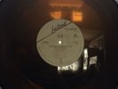 U2 Super Rare TRANSLUCENT BROWN Promo 