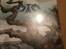 ASTRA-THE WEIRDING(UK LTD EDTN BLUE VINYL OR WHITE DBLE) NEW & SEALED