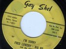 tx soul 45 FRED LOWERY-BIG BO GAY SHEL 202 I'M SORRY/YOU'RE NOT WORTH THE TEARS