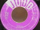 TOMMY ROE & THE SATINS | Shelia *HEAR* Pretty Girl | Rockabilly 45 | JUDD 1022