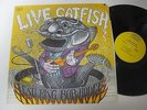 Catfish LP Live Catfish