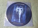SCORPIONS send me an angel VERTIGO 12-inch Picture Disc + Backing card VERXP 60