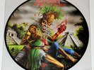 Iron Maiden 'The Heart Of The Beast' Mexico City Live Pic LP Picture Disc Record