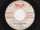 '58 Texas Rockers RAY LIBERTO Wicked, Wicked Woman/Calling Margie TNT 156 HEAR