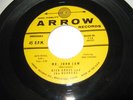 Rare Rockabilly Dick Grass and the Hoppers Mr John Law / Please Dear Arrow 738