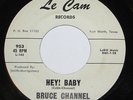 Bruce Channel 7