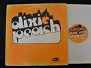 RARE PRIVATE PYSCH ROCK LP Dixie Peach Raintree 827