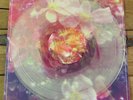 Stargazer Lilies - We Are The Dreamers record club ed. /300 #'d MINT unplayed