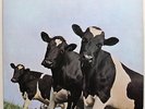 Pink Floyd ?– Atom Heart Mother , early pressing, no EMI