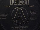 BRUCE RUFFIN - Get It Up For Love   7