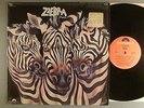 Zzebra  Panic