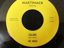 The What Escape/Summertime 45  garage psych rock Martinack 45-1001 VG+