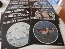 The peterson field guide to the bird songs of britain and europe x15 lp records