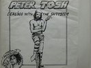 PETER TOSH Dealing With The Shytstem 2XLP Live At The Roxy LA  Rasta Records