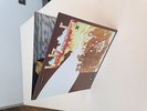 Led Zeppelin II 2 Classic Records Reissue 180 gram