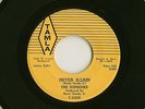 Rare Motown 45:  Supremes,  Never Again, Tamla 54038, their first, xlnt cond