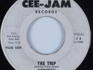Psych/Mod Instrumental 45 GODFREY The Trip CEE-JAM HEAR