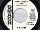 Rare Garage Rock-The Raves on Smash 2162-DJ15-Everything's Fire/Same- LISTEN