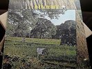 DAYLIGHT SELF TITLED 1971 RCA SF 8194 1E / 1E RARE FEMVOX PSYCH ACID FOLK - EX