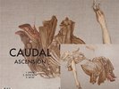 CAUDAL - ASCENSION