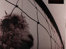 PEARL JAM: Vs. LP (180 gram reissue, remastered) Rock & Pop