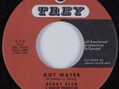 Rockabilly Popcorn Soul 45 DENNY REED Hot Water 3 TREY HEAR NM