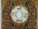 Northern Soul 45 BUDDY LAMP Promised Land/I'm Comin' Home on ABC-Paramount