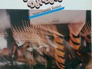 Three Blind Mice Japan LP Ako's Dream Top & Rar