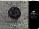 Whitesnake 12Inch Promo Maxi USA Still of the Night Deep Purple Member